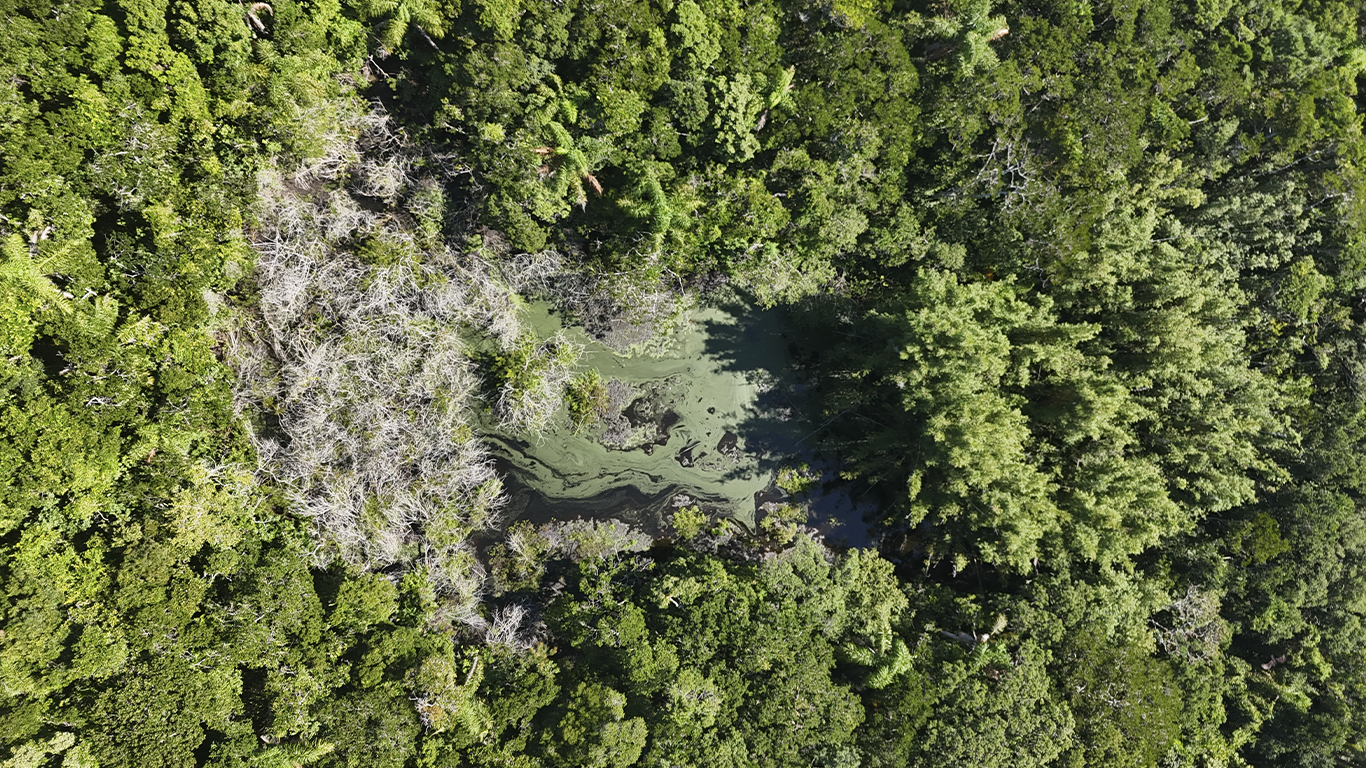 Ilha do Macuco Bombinhas SC nata&ccedil;&atilde;o mar aberto