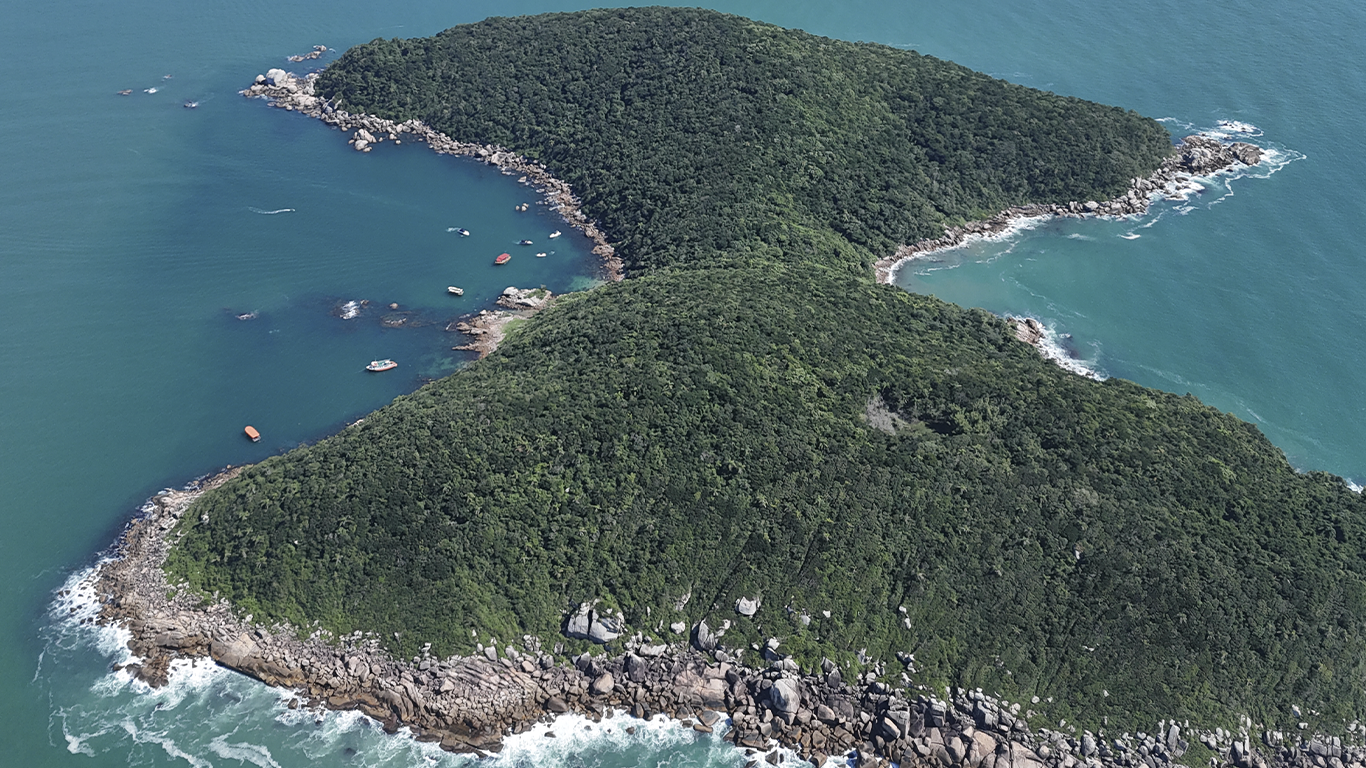 Open water swimming Brasil ilha macuco